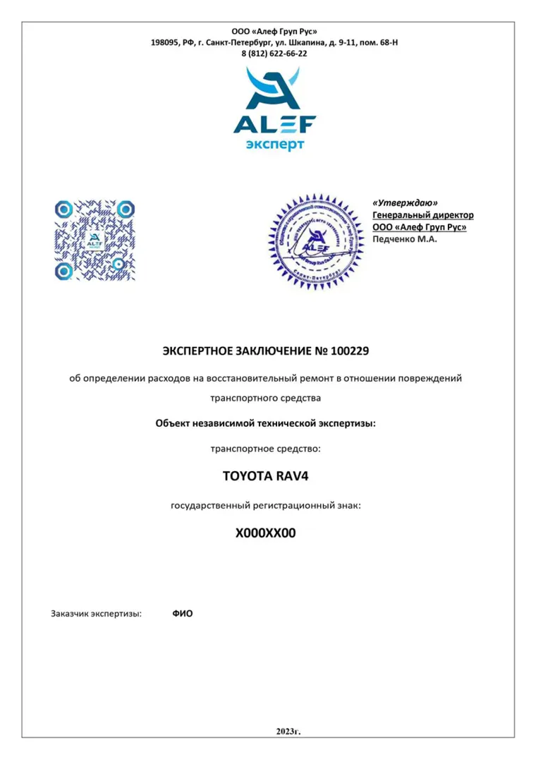Обезличенный пример электронного экспертного заключения ALEF EXPERT